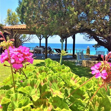 Genari Beach Apartments Levendokhórion Kültér fotó
