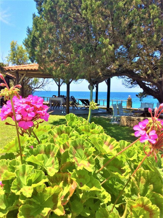 Genari Beach Apartments Levendokhórion Kültér fotó